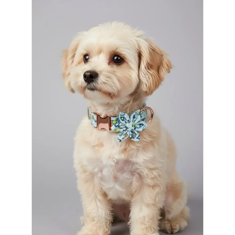 NIB XS 4 piece Dog Collar Leash Bow Flower Set Rocket Ship Print Rose Gold Tone